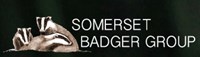 Somerset Badger Group
